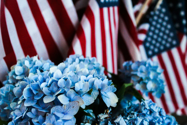 INDEPENDENCE DAY SALE!